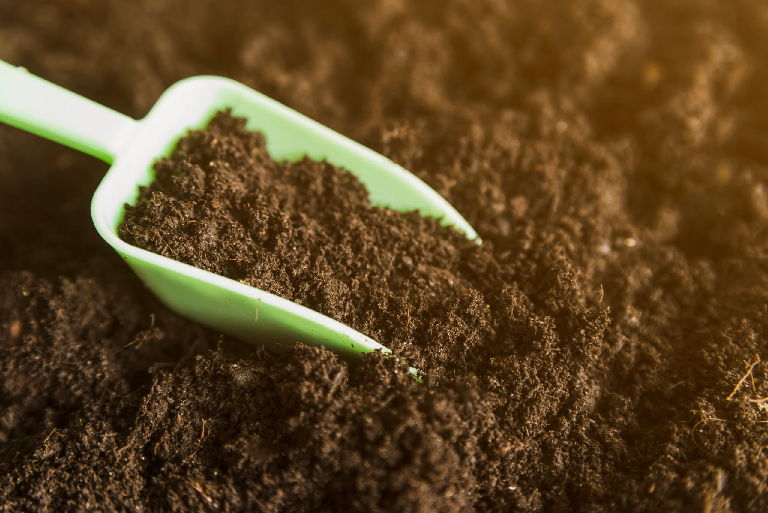 Soil n root mix
