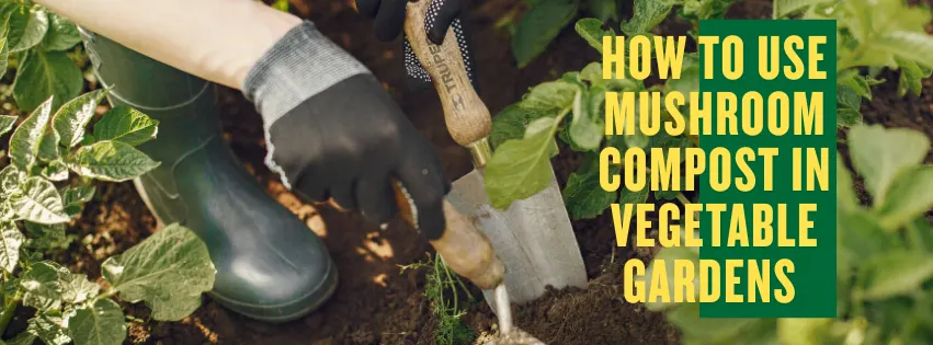 How to Use Mushroom Compost in Vegetable Gardens