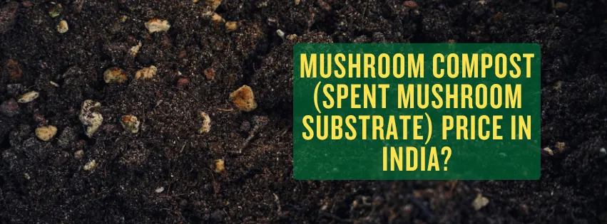 Mushroom Compost (Spent Mushroom Substrate) Price in India