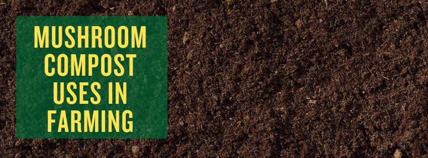 Mushroom Compost Uses in Farming