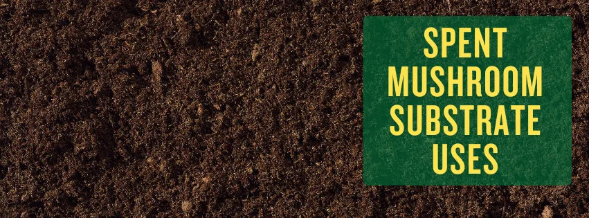 Spent Mushroom Substrate(Compost) Uses