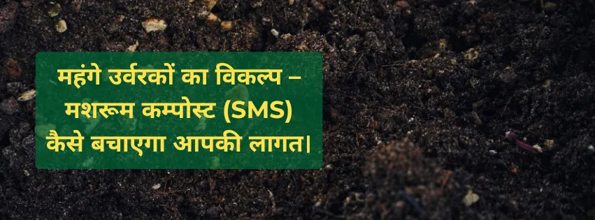 महंगे उर्वरकों का विकल्प – मशरूम कम्पोस्ट (SMS) कैसे बचाएगा आपकी लागत।