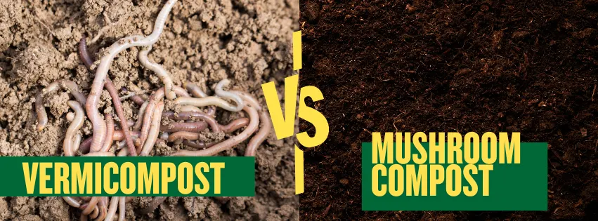 Vermicompost vs Mushroom Compost